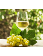 La mejor selección de vinos de Rioja